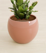 Load image into Gallery viewer, Calm Rose stand:all
