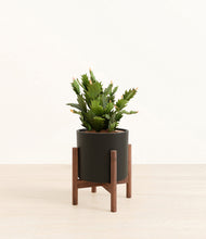 Load image into Gallery viewer, Black stand:walnut

