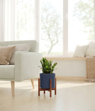 Load image into Gallery viewer, Deep Navy stand:walnut
