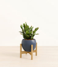 Load image into Gallery viewer, Deep Navy stand:bamboo
