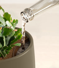 Load image into Gallery viewer, Olive stand:all
