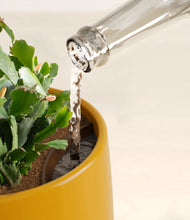 Load image into Gallery viewer, Mustard stand:all
