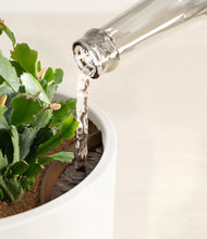 Load image into Gallery viewer, White stand:all
