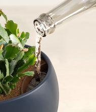 Load image into Gallery viewer, Deep Navy stand:all
