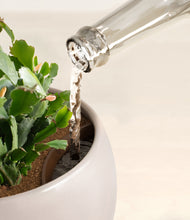 Load image into Gallery viewer, Winter Clouds stand:all
