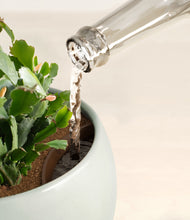 Load image into Gallery viewer, Deep Ocean stand:all
