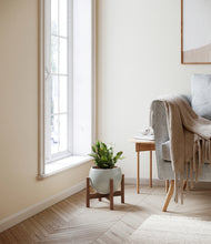 Load image into Gallery viewer, Deep Ocean stand:walnut
