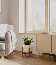 Load image into Gallery viewer, -Almond Green stand:walnut
