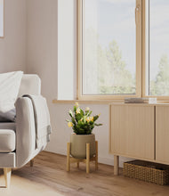 Load image into Gallery viewer, -Olive stand:bamboo
