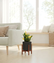 Load image into Gallery viewer, -Black stand:walnut
