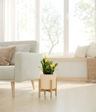 Load image into Gallery viewer, -Cream stand:bamboo
