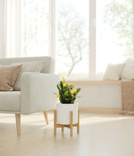 Load image into Gallery viewer, -White stand:bamboo
