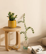 Load image into Gallery viewer, -Mustard
