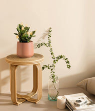 Load image into Gallery viewer, -Calm Rose
