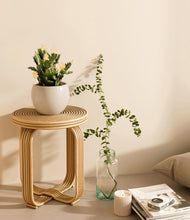 Load image into Gallery viewer, -Shiny EggWhite
