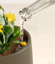 Load image into Gallery viewer, -Olive stand:all
