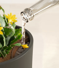 Load image into Gallery viewer, -Dark Olive stand:all
