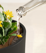 Load image into Gallery viewer, -Black stand:all
