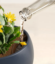 Load image into Gallery viewer, -Deep Navy stand:all
