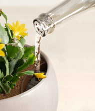 Load image into Gallery viewer, -Winter Clouds stand:all
