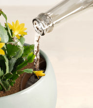 Load image into Gallery viewer, -Deep Ocean stand:all
