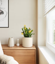 Load image into Gallery viewer, -Cream
