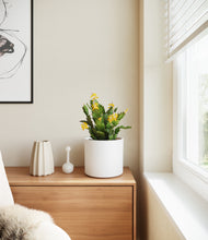 Load image into Gallery viewer, -White
