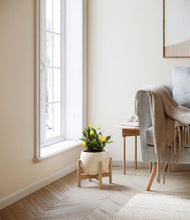 Load image into Gallery viewer, -Shiny EggWhite stand:bamboo
