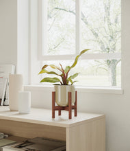 Load image into Gallery viewer, Sage Green stand:walnut
