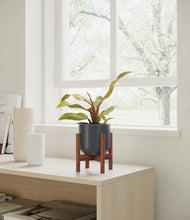 Load image into Gallery viewer, Iron Gray stand:walnut
