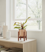 Load image into Gallery viewer, Glossy Pink stand:walnut
