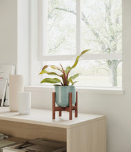 Load image into Gallery viewer, Reactive Aqua stand:walnut
