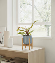Load image into Gallery viewer, Misty Blue stand:bamboo
