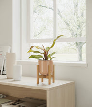 Load image into Gallery viewer, Glossy Pink stand:bamboo
