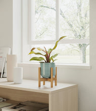 Load image into Gallery viewer, Reactive Aqua stand:bamboo
