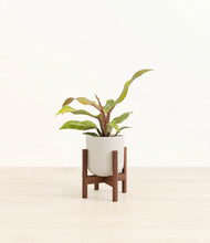 Load image into Gallery viewer, Natural Bamboo stand:walnut
