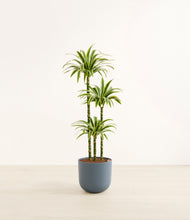 Load image into Gallery viewer, Iron Gray*****Profile
