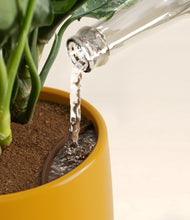 Load image into Gallery viewer, Mustard stand:all
