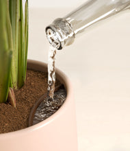 Load image into Gallery viewer, Gentle Pink stand:all
