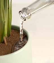 Load image into Gallery viewer, Turquoise stand:all
