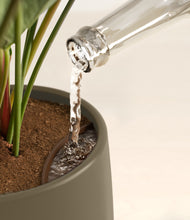 Load image into Gallery viewer, -
