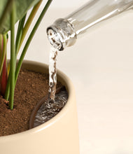 Load image into Gallery viewer, -
