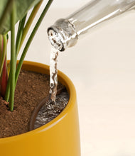 Load image into Gallery viewer, -
