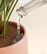 Load image into Gallery viewer, -
