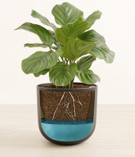 Load image into Gallery viewer, Stone Black stand:all
