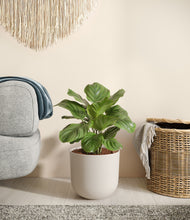 Load image into Gallery viewer, Natural Bamboo
