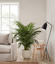 Load image into Gallery viewer, Natural Bamboo
