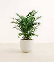 Load image into Gallery viewer, Natural Bamboo*****Profile
