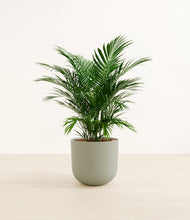 Load image into Gallery viewer, Sage Green*****Profile
