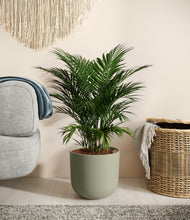 Load image into Gallery viewer, Sage Green
